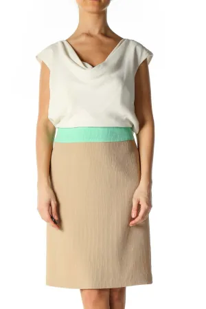 Beige Colorblock Classic Pleated Skirt